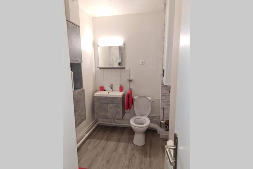 Appartement Charmant Au Pied Des Thermes Амели-ле-Бен-Палальда Экстерьер фото